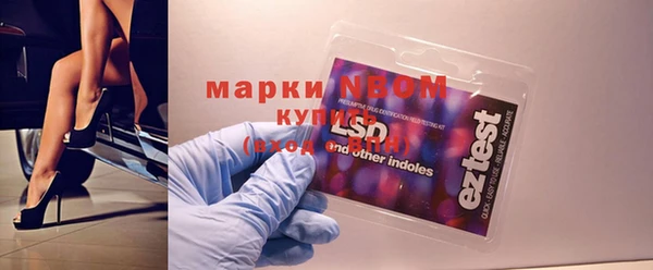 apvp Алзамай