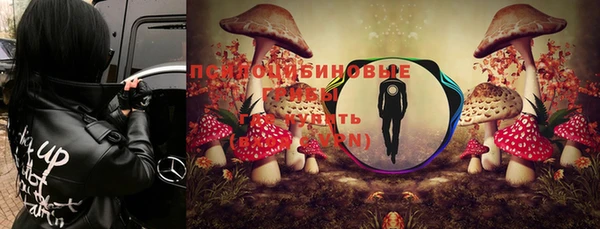 герыч Алексин