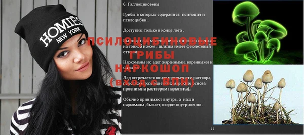 герыч Алексин