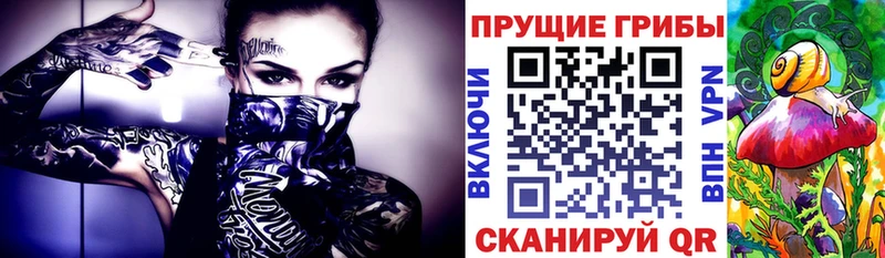 Псилоцибиновые грибы Cubensis  где найти наркотики  Мензелинск 